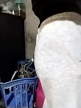 Snapshot of ngocbao11 chatting on 03-16-26, 04:29 ngocbao11 online show from 03-16-26, 04:29