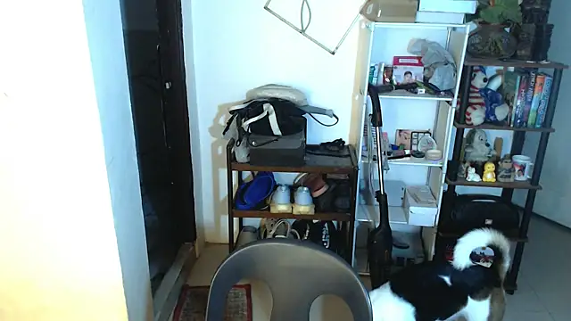Snapshot of sweetasian_zoe chatting on 05-02-26, 04:12 sweetasian zoe online show from 05-02-26, 04:12