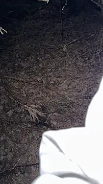 salfetka sex online show from 03-23-26, 05:17