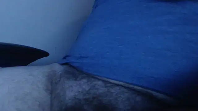 alexrivalo123 online show from 03-16-26, 06:28