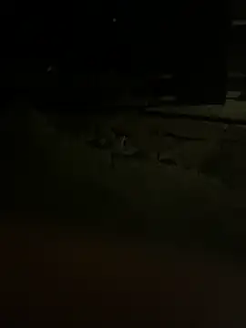 princessandthefootjob online show from 03-31-26, 04:35