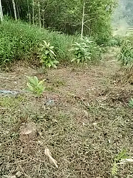 01 ANNA 01 online show from 03-27-26, 09:32