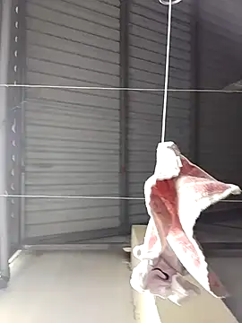 Jinnie sexy online show from 03-07-26, 05:37