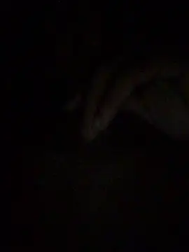 gostinhopauzudo online show from 03-22-26, 03:21