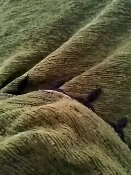 detasuta online show from 03-07-26, 03:47