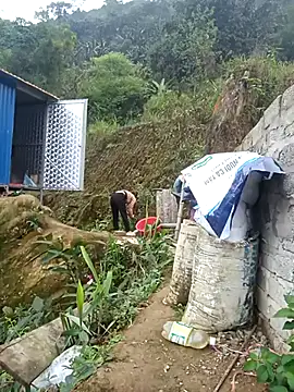 dualeo11 online show from 03-12-26, 06:19