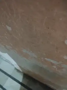 Snapshot of Tamillaxmi12 chatting on 04-14-26, 03:40 Tamillaxmi12 online show from 04-14-26, 03:40