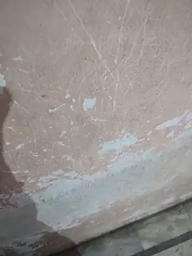 Snapshot of Tamillaxmi12 chatting on 04-16-26, 12:44 Tamillaxmi12 online show from 04-16-26, 12:44