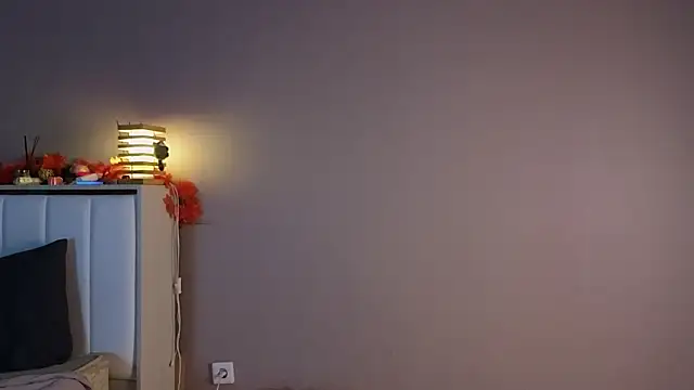 Snapshot of shiny_pichu chatting on 03-11-26, 08:15 shiny pichu online show from 03-11-26, 08:15