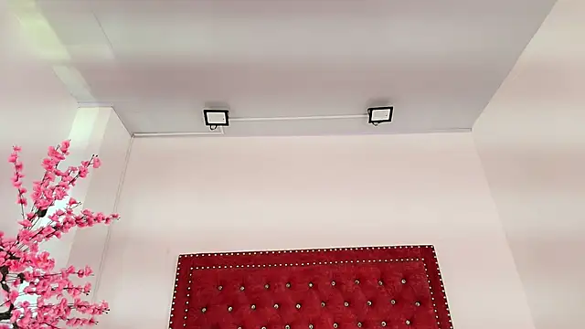 Daphne glas online show from 04-01-26, 01:41