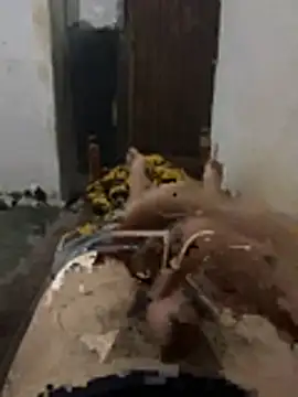 Polomoro23 online show from 03-27-26, 07:35