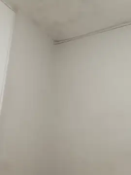 hacheshx online show from 03-17-26, 09:56