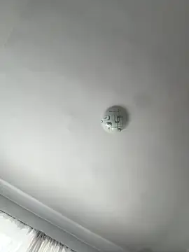 SweetCurvess online show from 05-19-26, 07:58