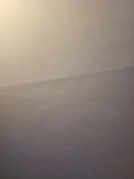 dufatcock online show from 03-22-26, 11:19