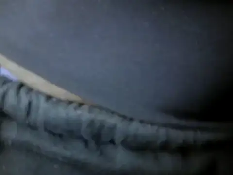 Sexy-Ebonise online show from 03-22-26, 09:13