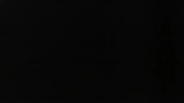 D dorman online show from 05-25-26, 03:56