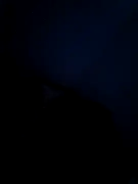 Vaishnavii online show from 03-21-26, 08:19