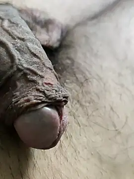 Prasad Niku online show from 03-20-26, 05:18