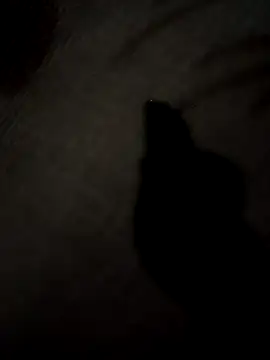 SEXY COUPLE65 online show from 03-24-26, 09:03