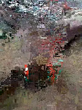 Snapshot of Alimohamed08 chatting on 03-25-26, 01:55 Alimohamed08 online show from 03-25-26, 01:55