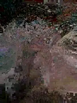 Snapshot of Alimohamed08 chatting on 04-05-26, 01:47 Alimohamed08 online show from 04-05-26, 01:47