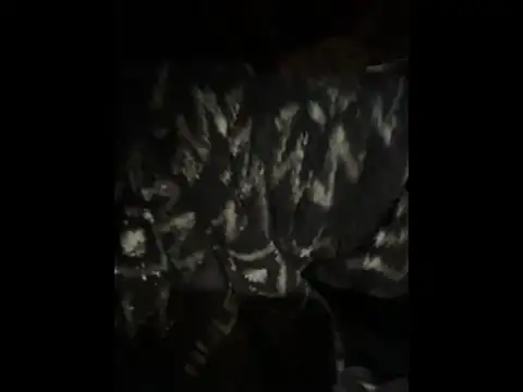 Teddy4420 online show from 05-22-26, 03:02