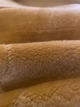 Snapshot of Ashwak_trans chatting on 04-04-26, 12:02 Ashwak trans online show from 04-04-26, 12:02