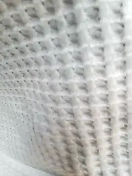 Snapshot of Aurora_Nova chatting on 03-25-26, 06:08 Aurora Nova online show from 03-25-26, 06:08