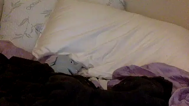 savannabanana online show from 03-26-26, 03:34