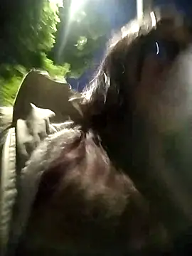 martina 7 online show from 04-11-26, 11:31