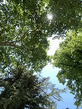 latinacaro- online show from 06-27-26, 10:09