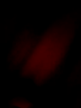 Snapshot of Eivar003 chatting on 04-03-26, 04:54 Eivar003 online show from 04-03-26, 04:54