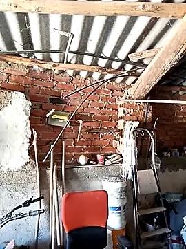 mecaloco online show from 04-05-26, 11:29