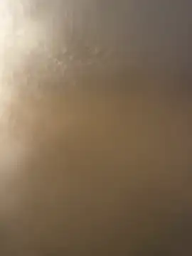 bfs128 online show from 04-05-26, 06:16