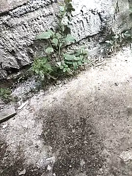 Rocky pune online show from 04-16-26, 03:40