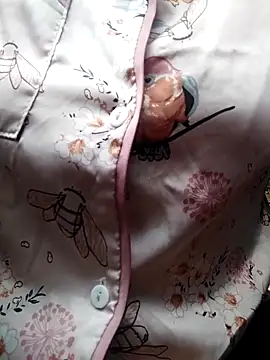 Snapshot of giahan1 chatting on 04-10-26, 12:49 giahan1 online show from 04-10-26, 12:49