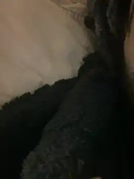 BBCboy365 online show from 04-12-26, 10:48