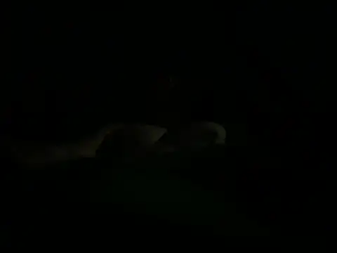 hunglikemeee online show from 04-16-26, 01:17