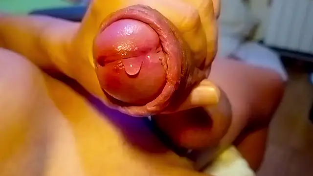 wankdick online show from 04-23-26, 03:25