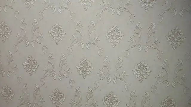 DelicaBrome online show from 07-19-26, 01:15
