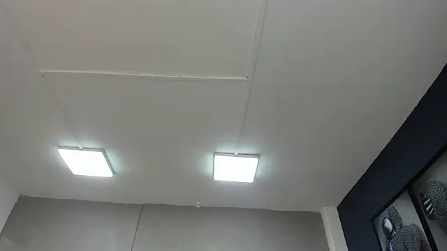 Charlie   Musk online show from 06-19-26, 11:25