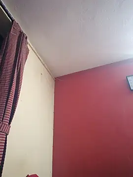 hornyflex ledger online show from 04-25-26, 03:53