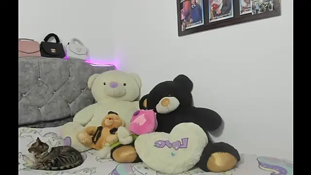 dani hall online show from 07-16-26, 11:44