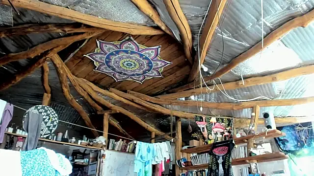 wildforestmuse  online show from 07-19-26, 08:29