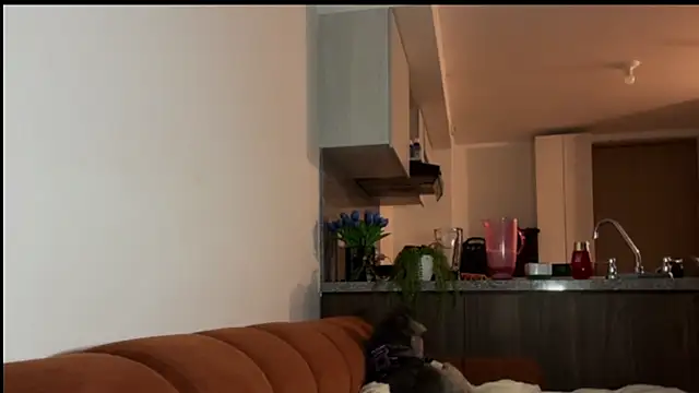 niah 11 online show from 05-19-26, 11:33