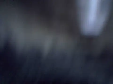 cutiebreey online show from 06-23-26, 12:52