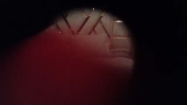 Snapshot of kellygrace_vg chatting on 06-28-26, 03:01 kellygrace vg online show from 06-28-26, 03:01