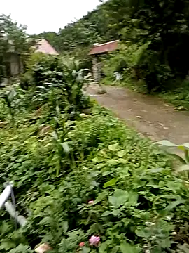 Elfledaa online show from 06-20-26, 09:56