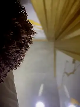 Antonellax   online show from 06-26-26, 11:03