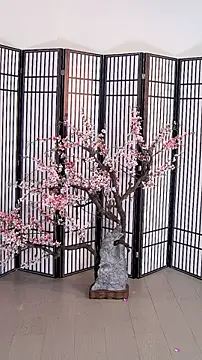 Snapshot of ouyanyan chatting on 05-26-26, 12:12 ouyanyan online show from 05-26-26, 12:12
